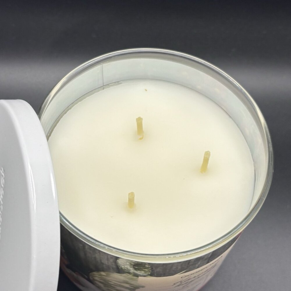 Goose Creek Harvest Hayride 3 Wick Jar Candle 14.5 oz Fall Pumpkin Apple Spices - Picture 13 of 14